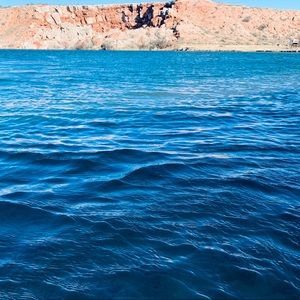 Meet your Posher, Gavin